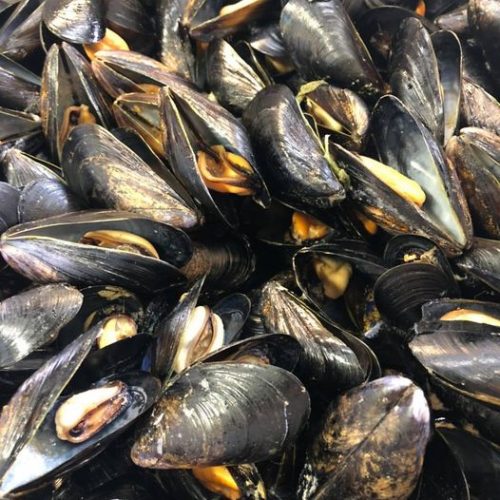 Cozze