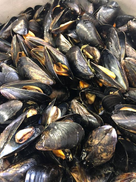 Cozze